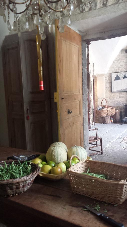 Chateau De Fontblachere Saint-Lager-Bressac エクステリア 写真